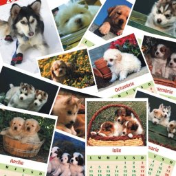 Calendar de perete C1 cu catelusi A4 sau A5