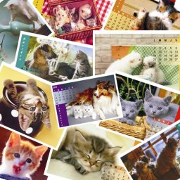 Calendar de birou P2 cu pisicute format A5