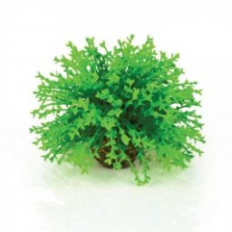Decoratiune minge de flori verde, Biorb