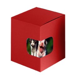 Cutie rosie cadou cani personalizate