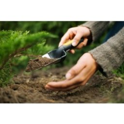Plantator ingust Fiskars Premium