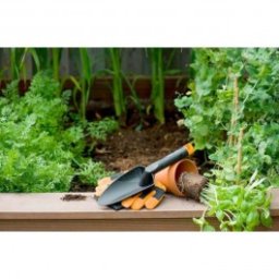 Plantator Fiskars Solid