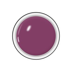 Geluri Color Unghii, Producator Royal Femme, Culoare Blackberry Juice, Gramaj 5ml, Geluri Colorate Manichiura