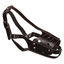 Botnita Piele DogElite