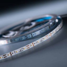LumiFlex 300 Economy LED Strip alb rece 6500K 1290lm 12V 60 LED-uri/m bobină de 5 m (258lm/m 2.4W/m)