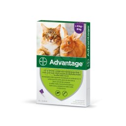 Advantage Spot On pisici/iepuri 1 x 0,8 ml (Advantage 80)