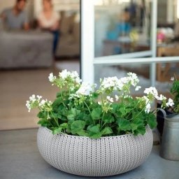 Ghiveci de gradina Keter Cozies, exterior si interior, polipropilena, pentru flori, bej, fara farfurie, rezistent UV si intemperii, capacitate 22.8 L
