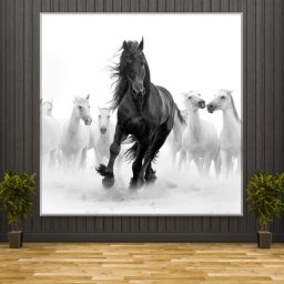 Tablou Eroul Armasar Negru HS86 (Optiuni Tablou: 70x70cm)