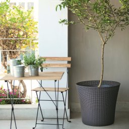 Ghiveci exterior conic, plastic imitatie ratan, Keter, pentru gradina, terasa, balcon, fara farfurie, dop de drenaj, gri, rezistent UV si umiditate, 56.6 L