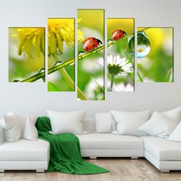Multicanvas Buburuze Printre Stropi de Roua Fresh NMC26 (SET 5 TABLOURI CANVAS: 2x40x60cm/ 2x30x80cm/ 1x30x100cm)