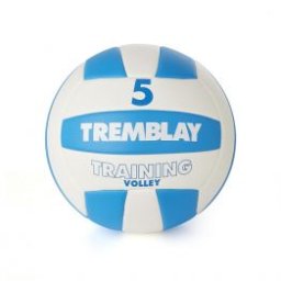 Minge volei antrenament