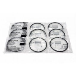 Segmenti motor Tractor U445 95.8 R5 - set SegMot