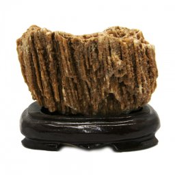 Calcit Miere cu Suport Brut Natural - 98 x 29 x 68 mm (XXL)