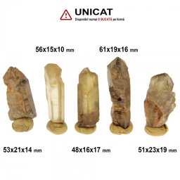 Citrin Congo Brut Natural - 48-61x15-23x10-19 mm - ( XXL ) - 1 Buc