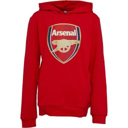 Puma Junior AFC Arsenal Royal Crest Hoodie High Risk Red