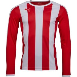 Puma StMatch Jersey Puma Red/Puma White