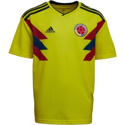 adidas Junior FCF Colombia Home Bright Yellow/Collegiate Navy