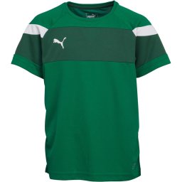 Puma Junior Spirit II Jersey Green/White