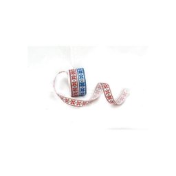 Panglica Imprimeu Traditional Cu Bordura 2.5Cm/22M