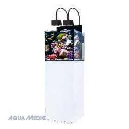 Cubicus Qube