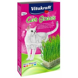 Iarba pisicii Vitakraft 1 buc.