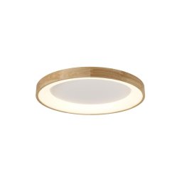 Azzardo AZ2698 - Plafonieră LED SILVAM LED/50W/230V