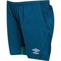 Umbro Junior SVWB Werder Brenman Legion Blue/Golf Green