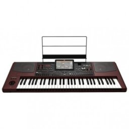 Korg PA1000
