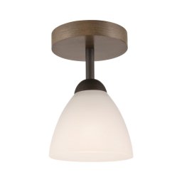 Lustr ADRIANO 1xE27/60W/230V, přisazený model