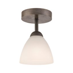Lustr ADRIANO 1xE27/60W/230V, přisazený model
