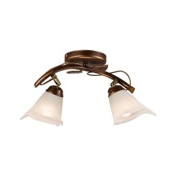 Lampă spot BLUSZCZ 2xE14/40W/230V