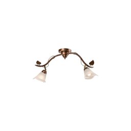 Lampă spot BLUSZCZ 2xE14/40W/230V
