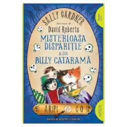 Misterioasa disparitie a lui Billy Catarama. Seria Aripi si Co Vol.3 - Sally Gardner