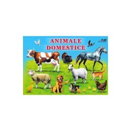 Animale domestice