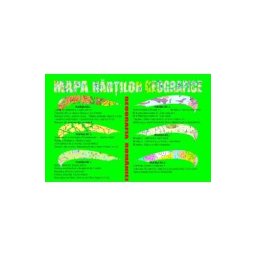 Mapa hartilor geografice: Geografia Romaniei - Marius Lungu