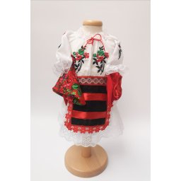 Compleu traditional Anda
