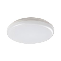 Rabalux 7979 - Plafonieră LED exterior ERIC LED/24W/230V IP64
