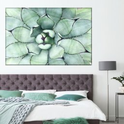 Tablou Canvas Planta Exotica Agave FRZ14 (Dimensiune LxH: 195x130cm)