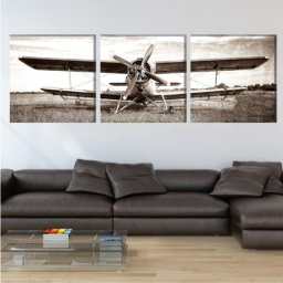 Multicanvas Avion Vintage AMA16 (SET 3 TABLOURI CANVAS: 3x50x50cm)