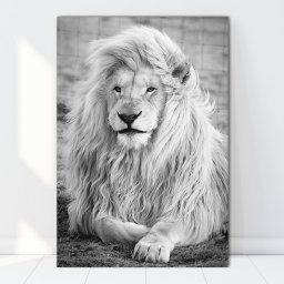 Tablou Canvas Portret Leu Alb Negru ATGR98 (Dimensiune LxH: 60x90cm)