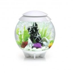 Set complet acvariu cu decoratiuni BiOrb Halo 30 litri MCR, Alb