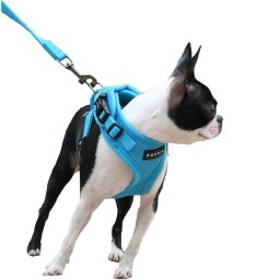 Ham ultra-reglabil Puppia Ritefit, pentru caini si pisici