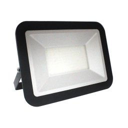LED Proiector LED/100W/230V IP65