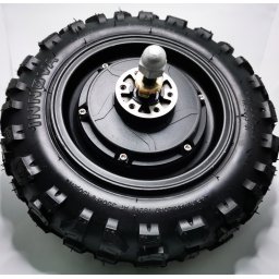 Motor spate trotineta electrica Dakor Insane, 1800W