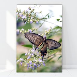 Tablou Canvas Maretia Fluturelui printre Flori AAG14 (Dimensiune LxH: 70x105cm)