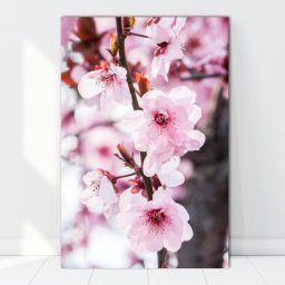 Tablou Canvas Creanga cu Flori de Cires Japonez AAG7 (Dimensiune LxH: 30x45cm)