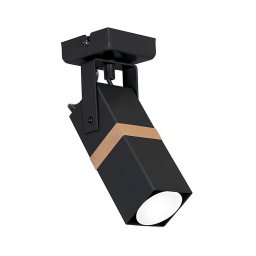 Lampă spot VIDAR 1xGU10/25W/230V negru