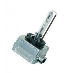 Bec xenon D1S