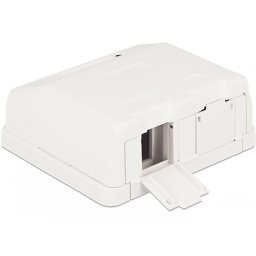 Carcasa Keystone 2 Porturi cu protectie la praf, Delock 86236