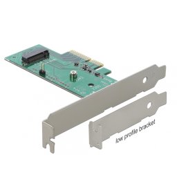 PCI Express la 1 x M.2 NGFF NVMe intern, Delock 89370